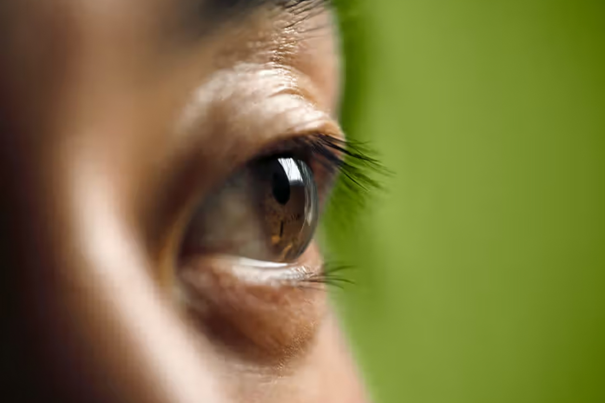 cornealdieseases