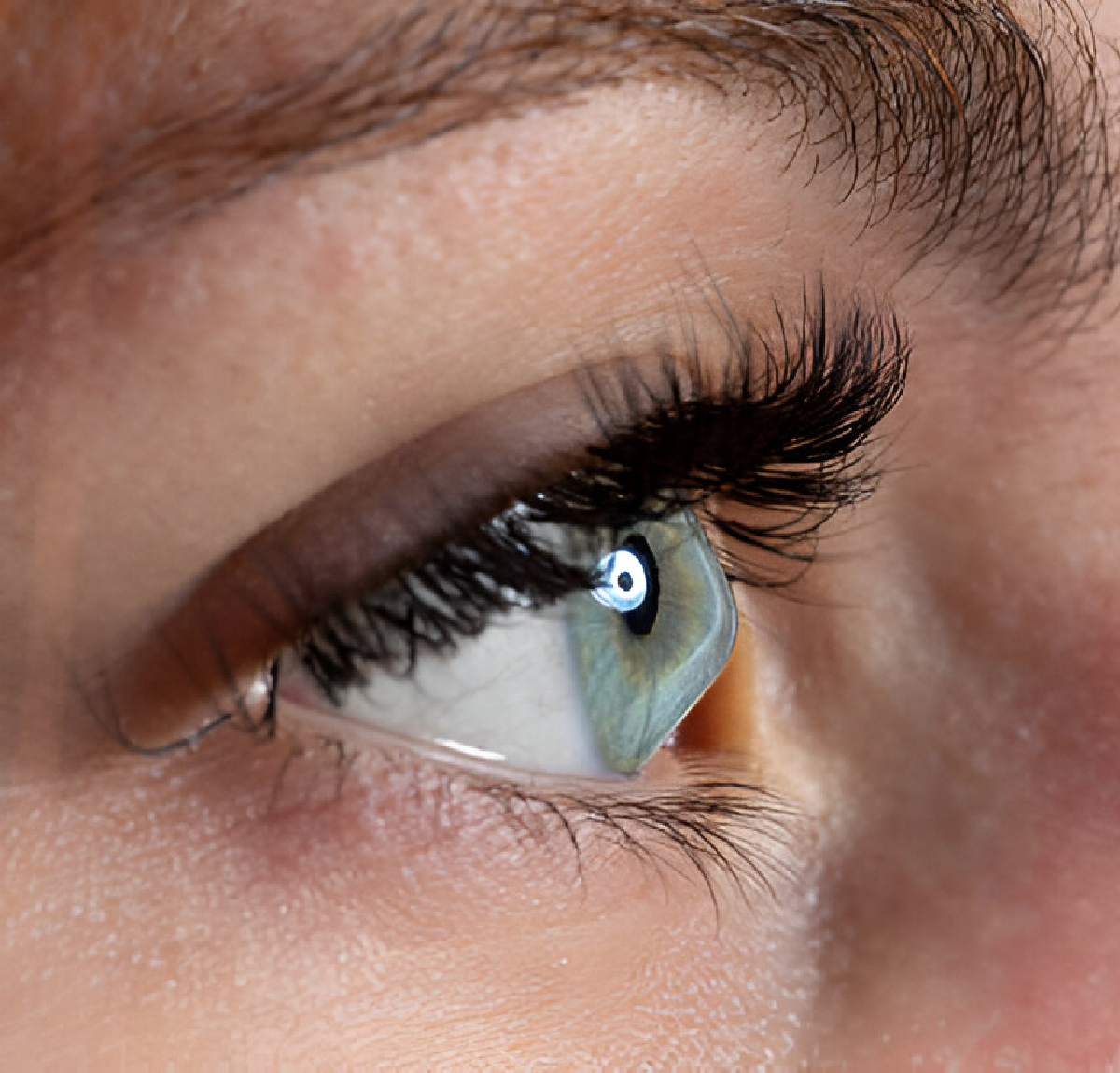 oculoplasty